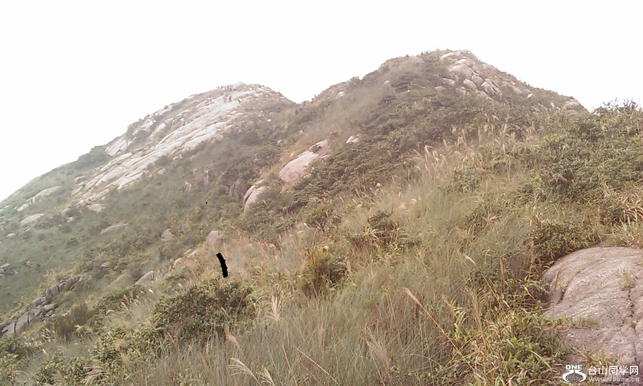 IMAG0195.jpg