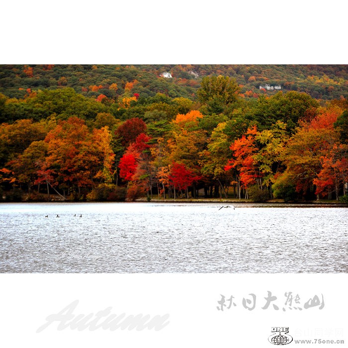 DSC_7637.jpg