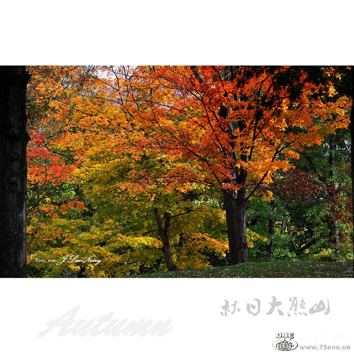 DSC_7622.jpg
