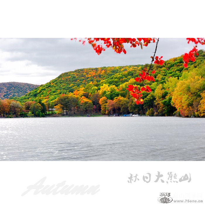 DSC_7652.jpg