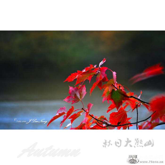 DSD_1782.jpg