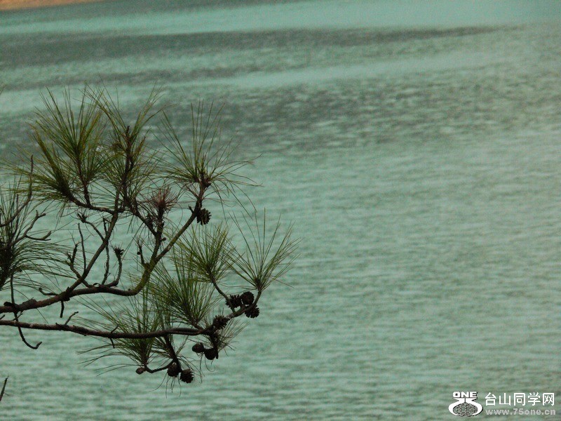 P1060317_Ӱ_1.jpg