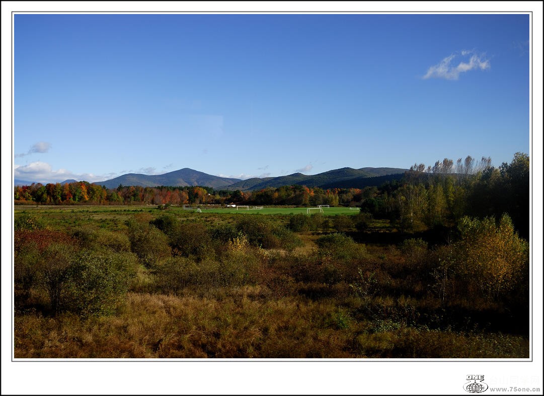DSC_0304.jpg