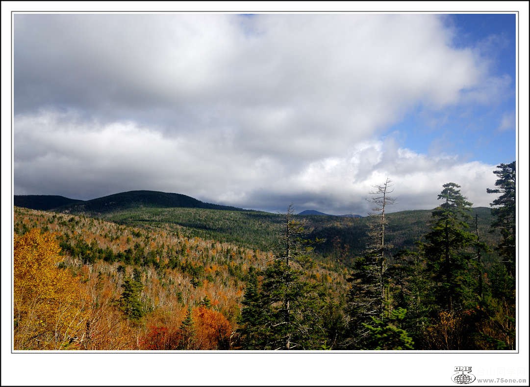 DSC_0466.jpg