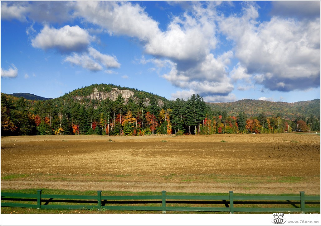 DSC_0225.jpg