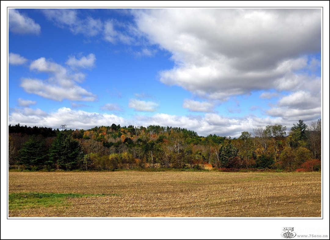 DSC_0639.jpg