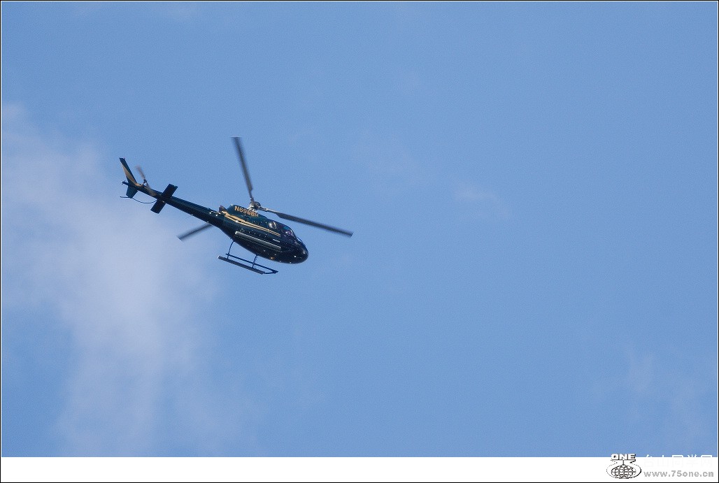 DSC_0166.jpg