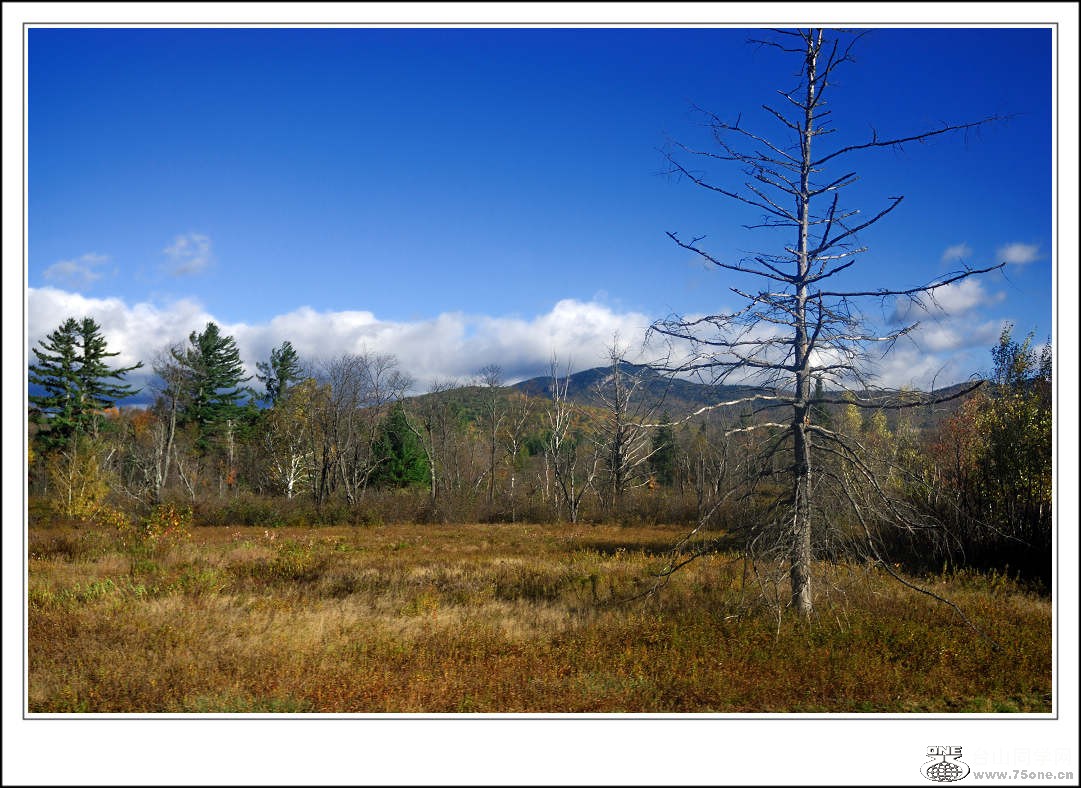 DSC_0371.jpg