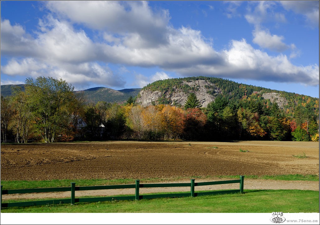 DSC_0221.jpg
