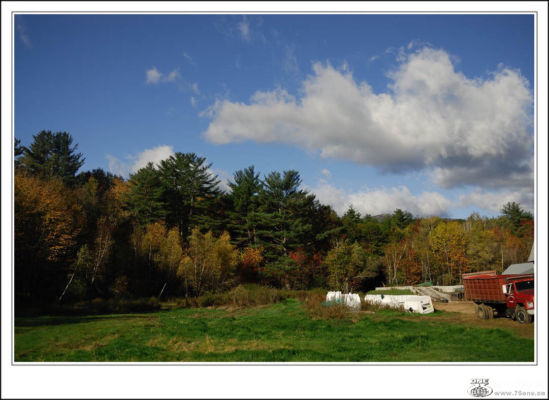 DSC_0252.jpg