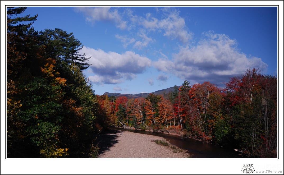 DSC_0286.jpg