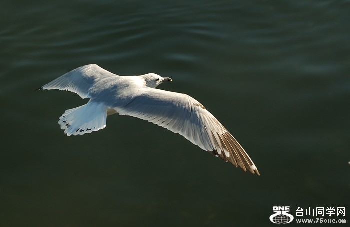 DSC_0228s.jpg