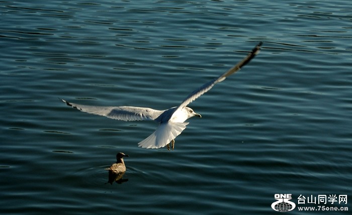 DSC_0198s.jpg