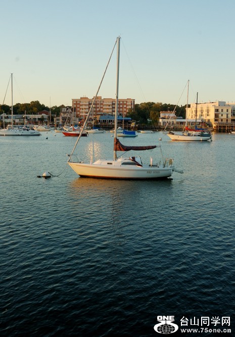 DSC_0522s.jpg