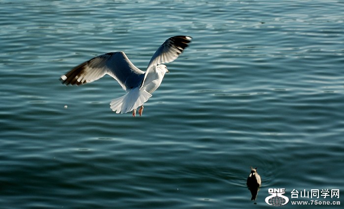 DSC_0109s.jpg