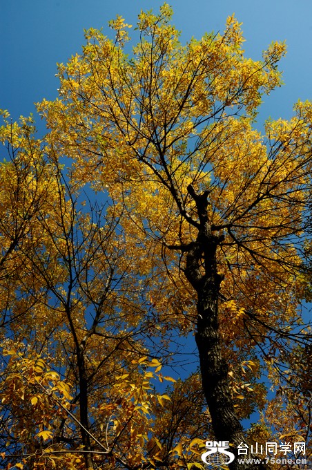 DSC_0369s.jpg