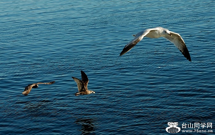 DSC_0269s.jpg