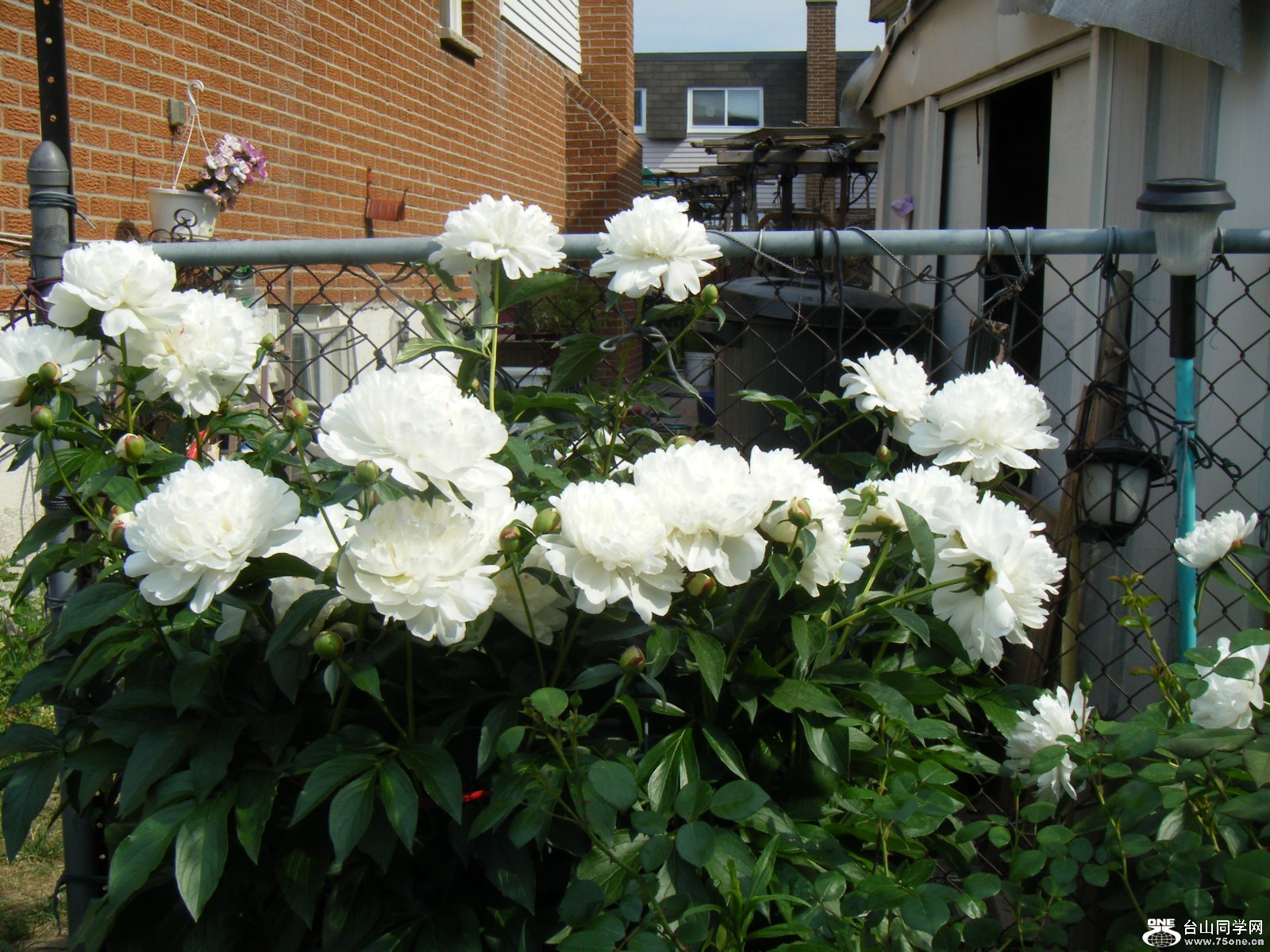 may03 696.jpg