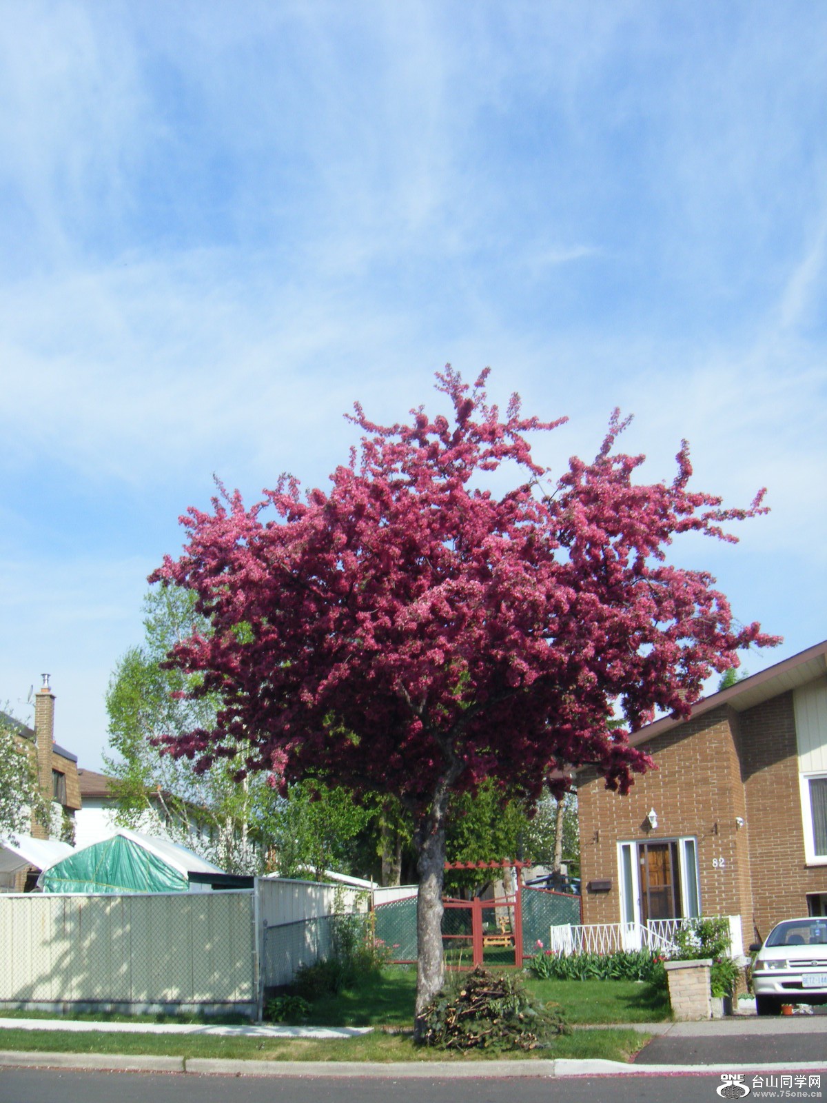 may03 386.jpg