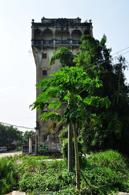 DSC_0010.JPG