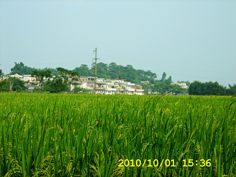DCAM0334.JPG