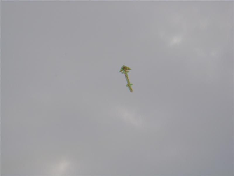 DSC02304 (中等).JPG