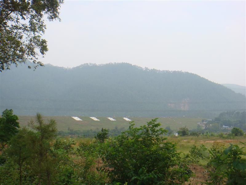DSC02309 (中等).JPG
