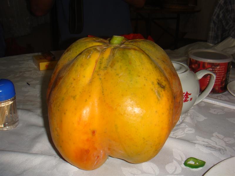 DSC02301 (中等).JPG
