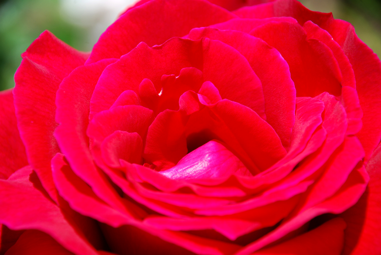 DSC_0415 a.jpg