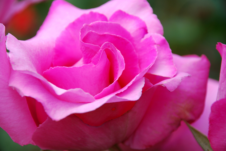 DSC_0085 a.jpg