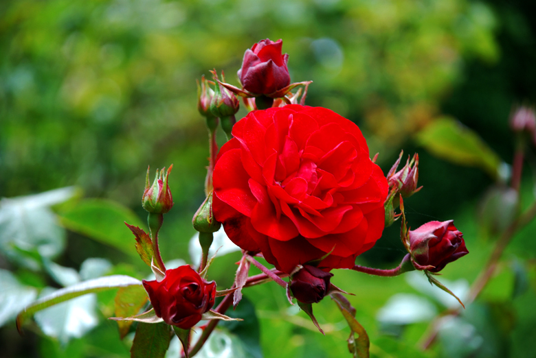 DSC_0019 a.jpg