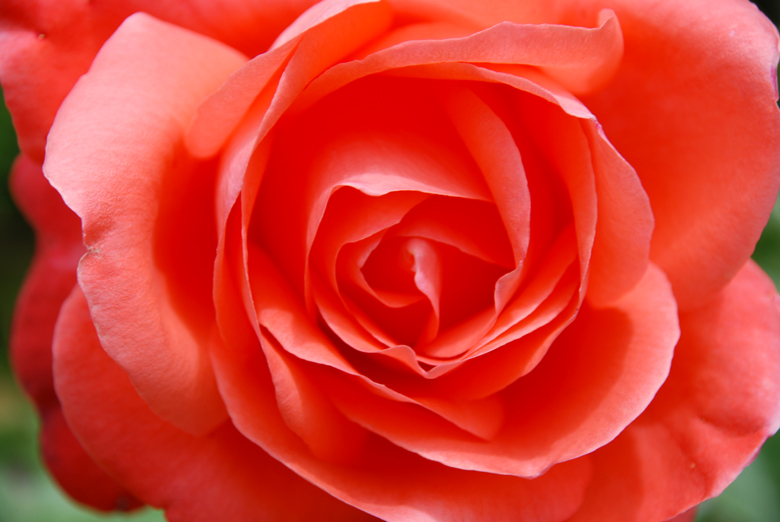 DSC_0061 a.jpg
