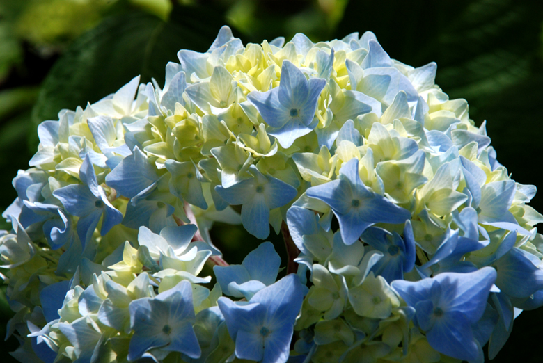DSC_0573 a.jpg