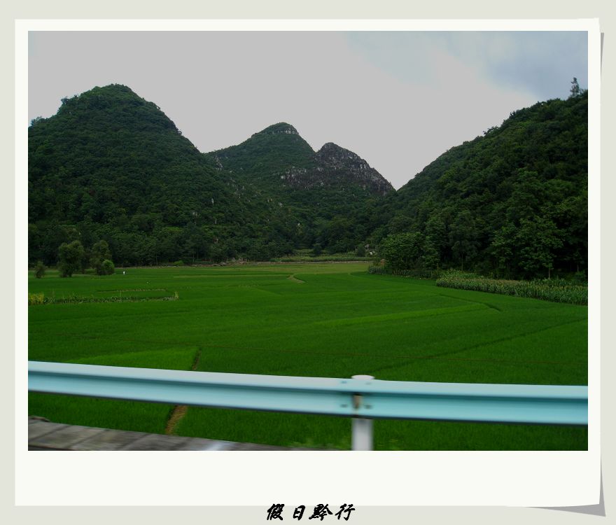 IMG_0920.jpg