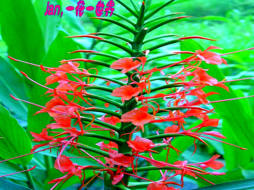 20091010102544979_conew1.jpg