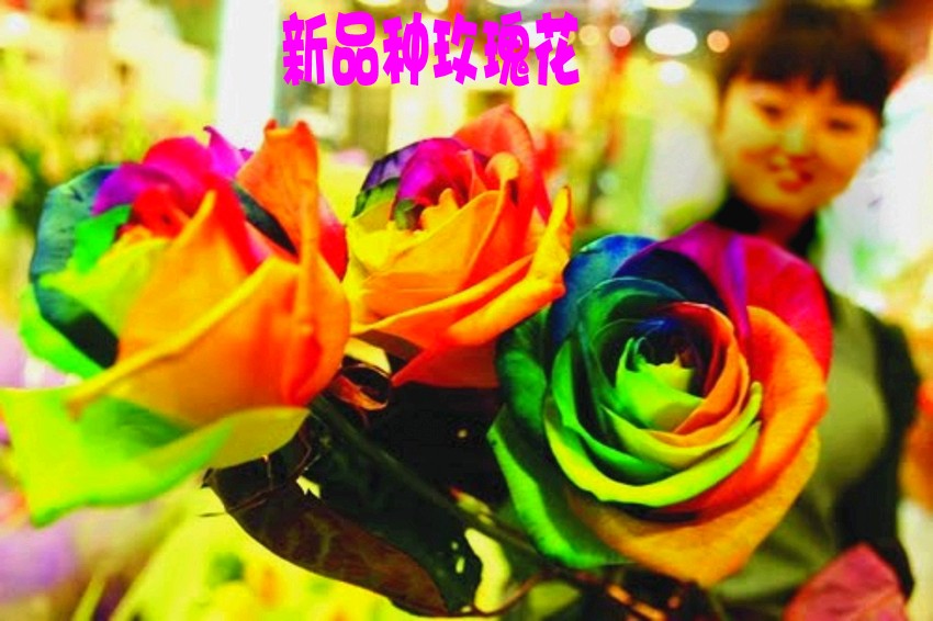 1436907_596964_conew1.jpg