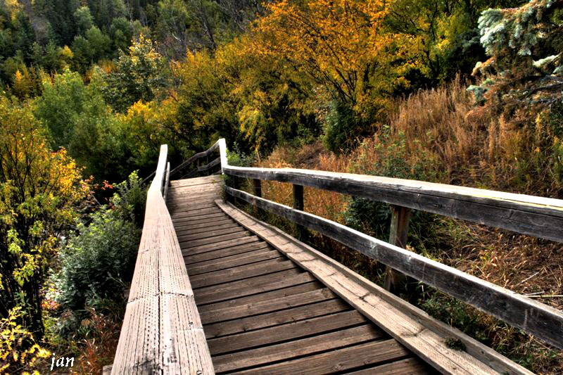 Stair.jpg