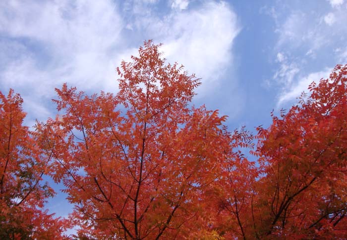 DSC02289.JPG