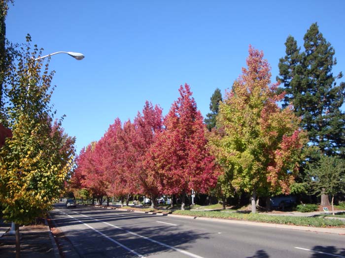 DSC02158.JPG
