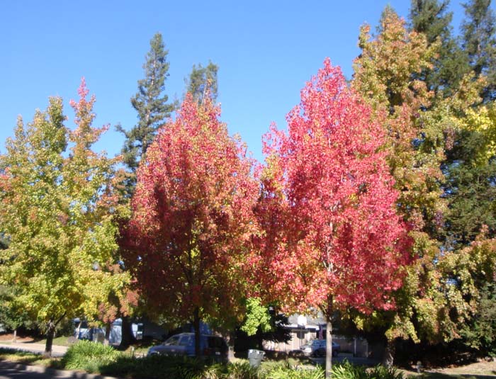 DSC02154.JPG