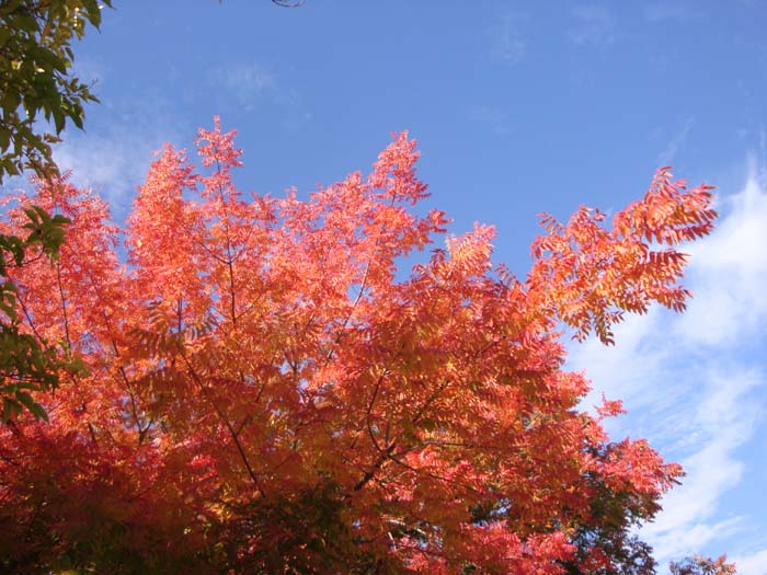 DSC02264.JPG