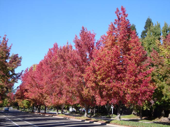 DSC02164.JPG