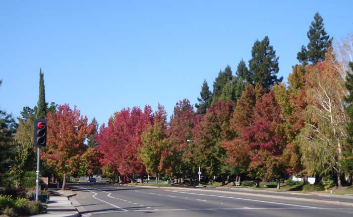 DSC02156.JPG