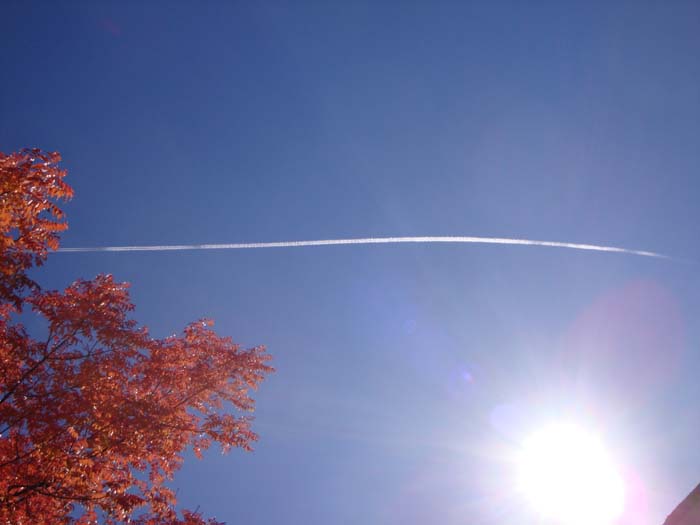 DSC02252.JPG