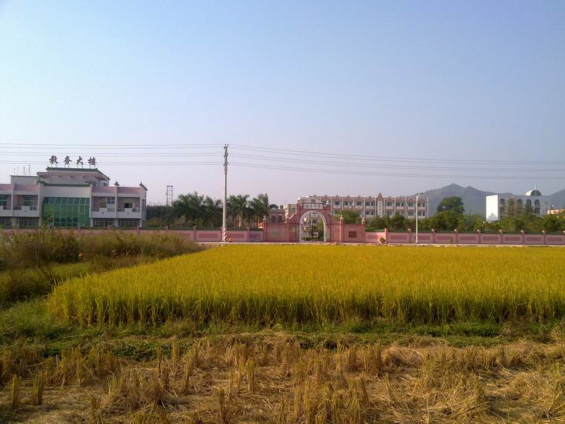 С 20101125940.jpg