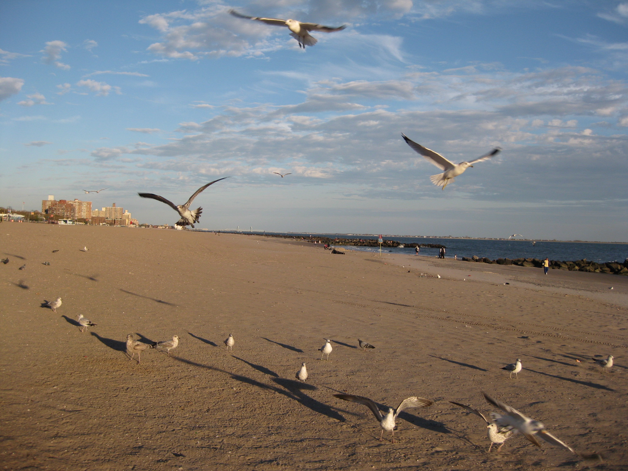 Long Island 160.jpg