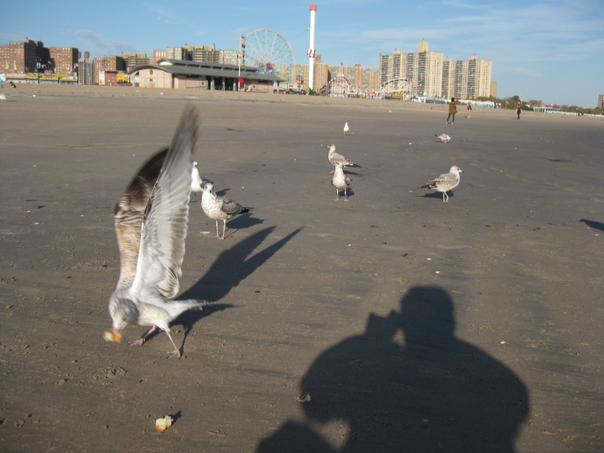 Long Island 096.jpg