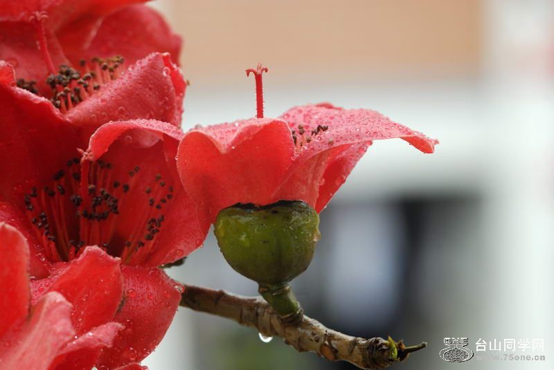 201041194040[1].jpg