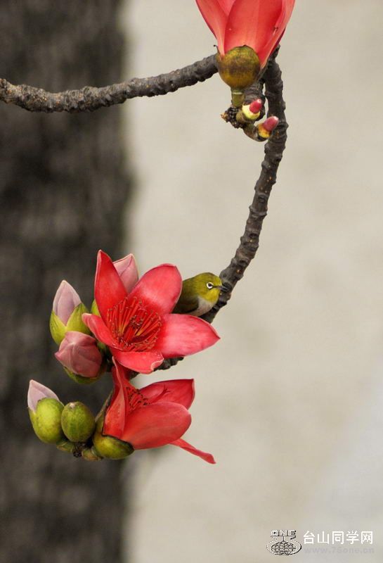 201041194113[1].jpg