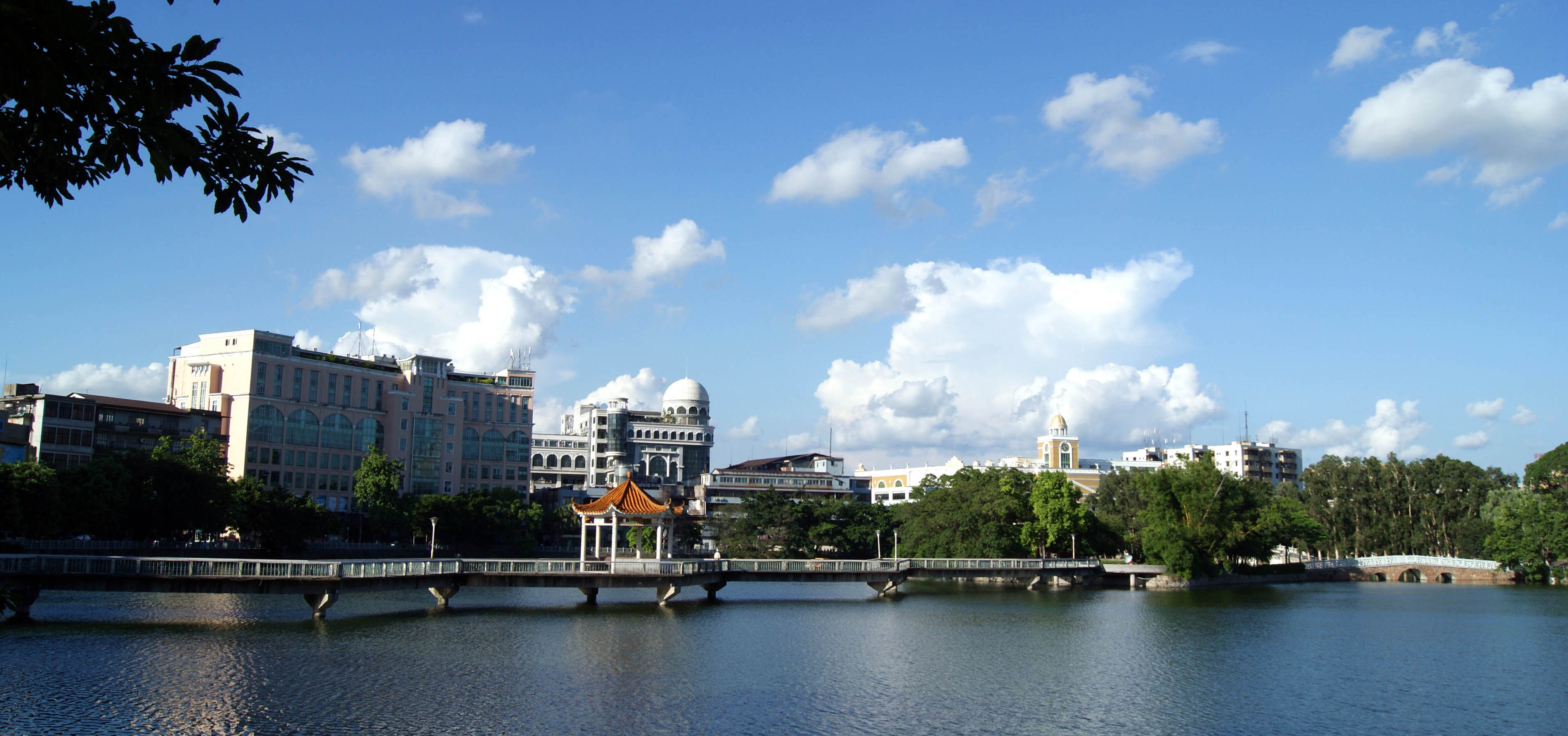 DSC02195-1.jpg